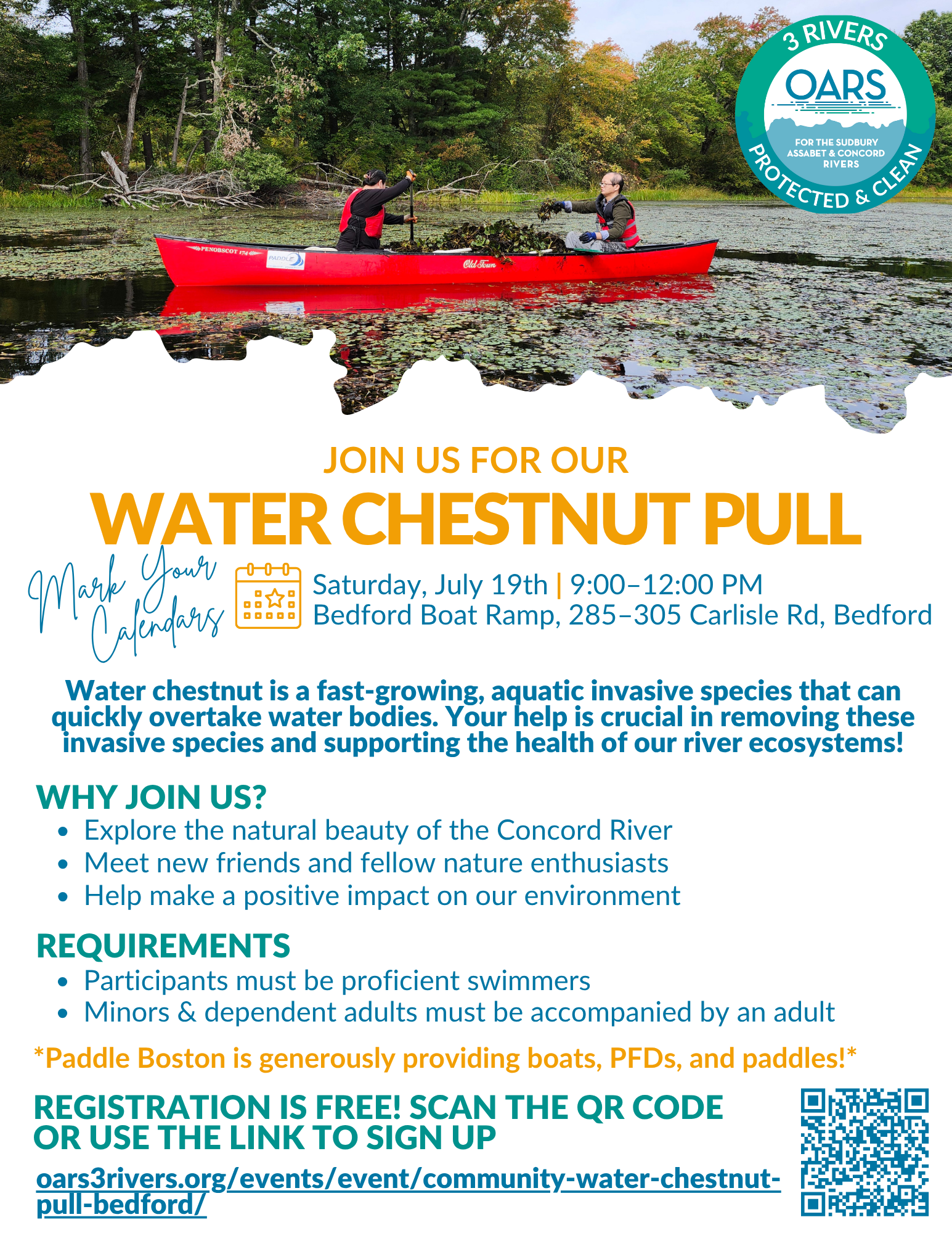 Water Chestnut Pull- Bedford