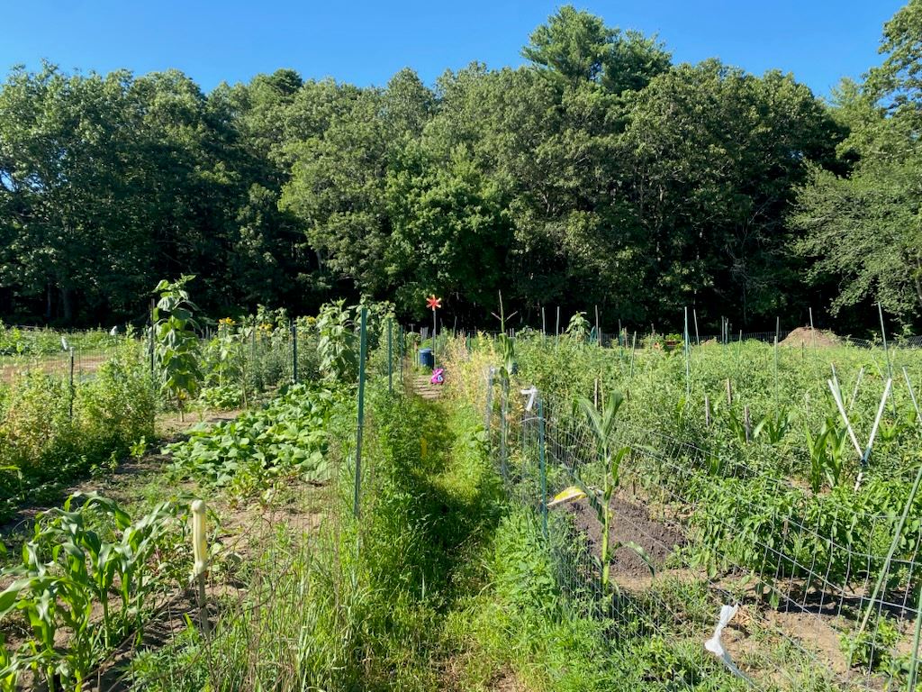 07_22_2025, 09_43_26 AM