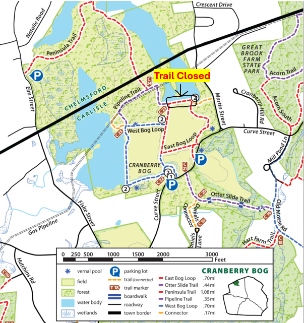 Pictured: A map of a trail, showing that the northern edge of the Cranberry Bog Trail is Closed.